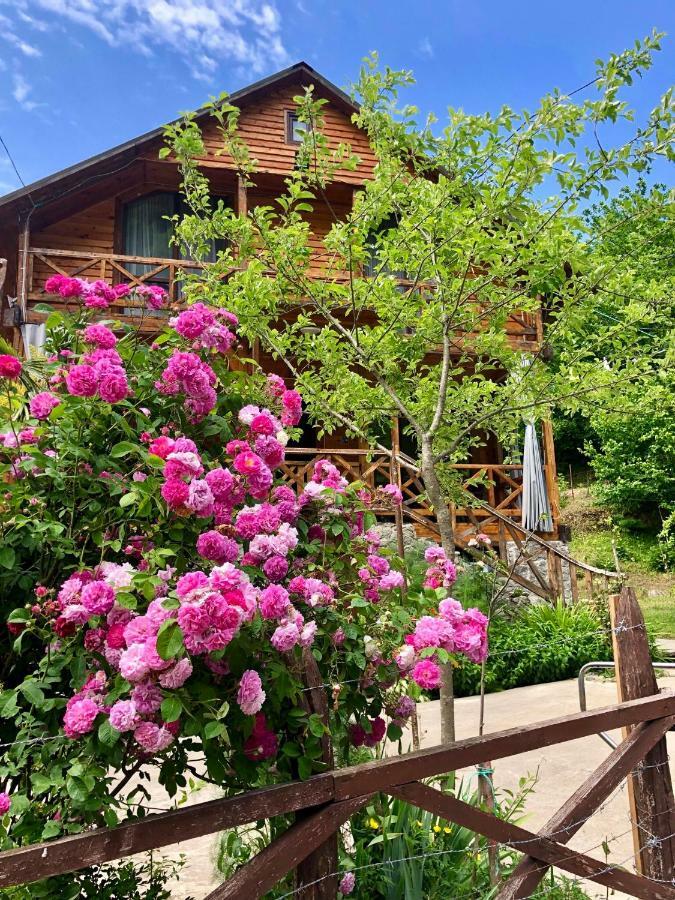 Mtirala Hotel Чакви Екстериор снимка